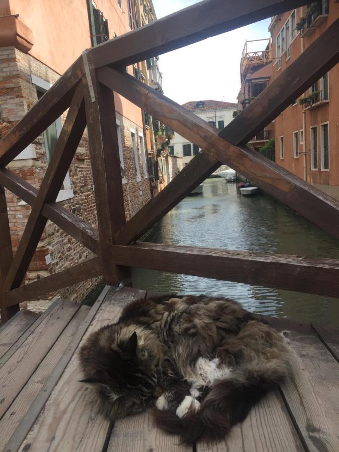 Mori 1 Con Bella Vista Nuovo * Venezia
